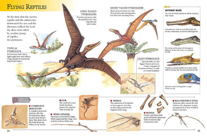 Dinosaurs and Prehistoric Life