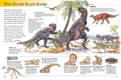 Dinosaurs and Prehistoric Life
