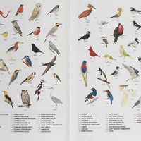 City Birds: An Urban Birdwatching Logbook